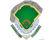 Constellation Field