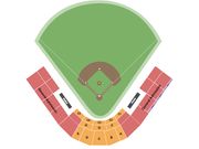 Dan Law Field At Rip Griffin Park