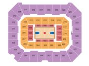 Gallagher IBA Arena
