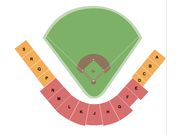 Goodwin Field