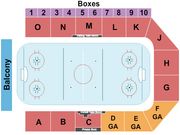 James Lynah Rink