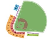 Luther Williams Field