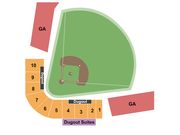 Mike Martin Field at Dick Howser Stadium