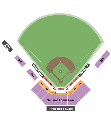 Alex Rodriguez Park at Mark Light Field