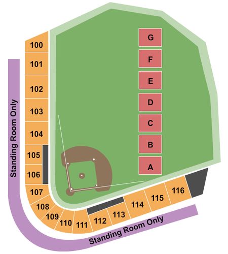 Delta Dental Stadium