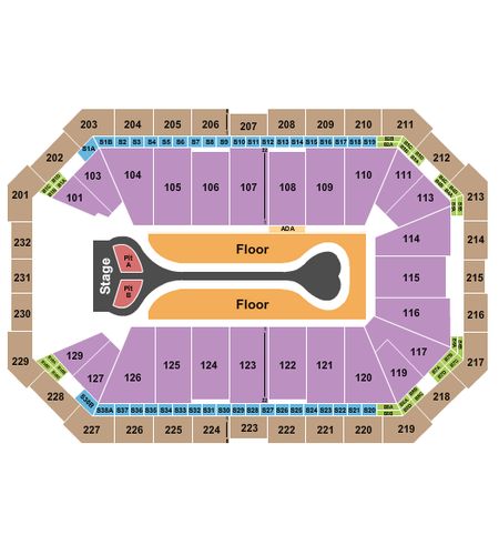 Dickies Arena