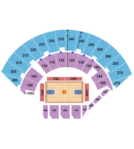 Mayo Civic Center Arena