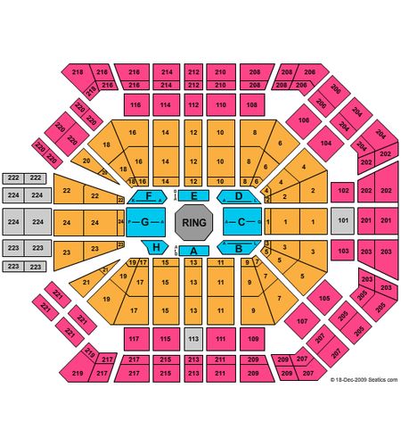 MGM Grand Garden Arena
