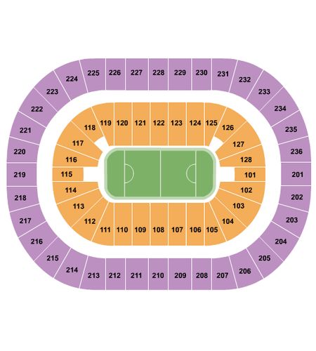 TD Coliseum