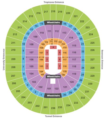 Thomas & Mack Center