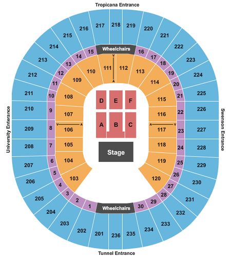Thomas & Mack Center