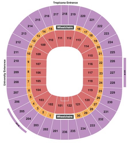 Thomas & Mack Center