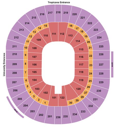 Thomas & Mack Center