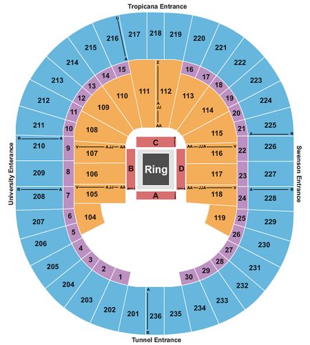 Thomas & Mack Center