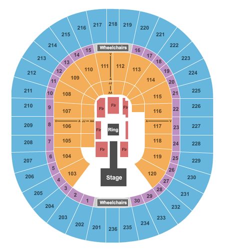 Thomas & Mack Center