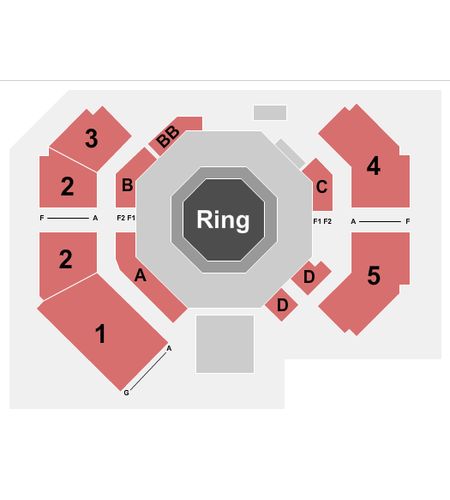 UFC Apex