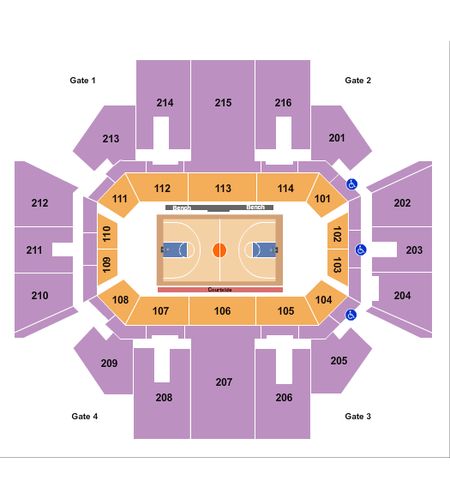 Williams Arena At Minges Coliseum