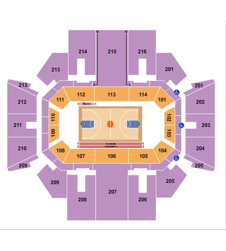 Williams Arena At Minges Coliseum